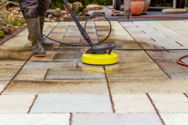 Best Animal Enclosure Cleaning  in Hartford, AL